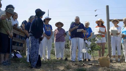 Members of the RVPC stand around the peace tree with it's plaque and a water container